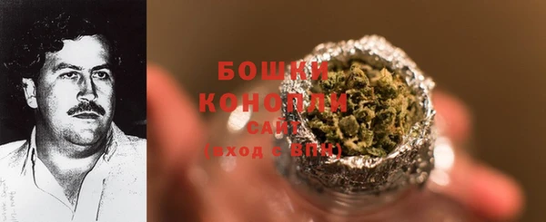 стаф Володарск