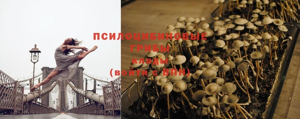 прущая мука Богородицк
