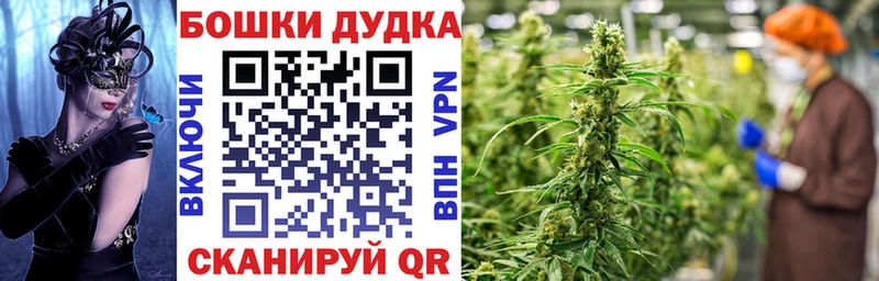 Шишки марихуана Ganja  что такое   Верхний Тагил 